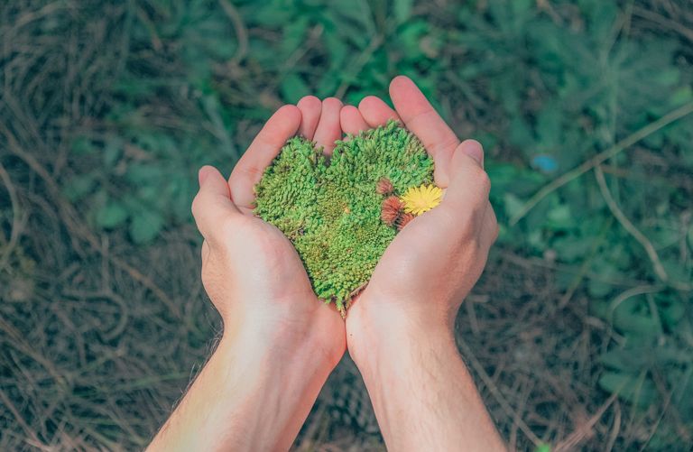 Zarządzanie środowiskowe – ISO 14001:2026